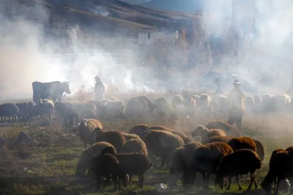 تصاویر؛ پاییز در الشتر؛ تابلوی زنده طبیعت