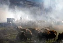 تصاویر؛ پاییز در الشتر؛ تابلوی زنده طبیعت