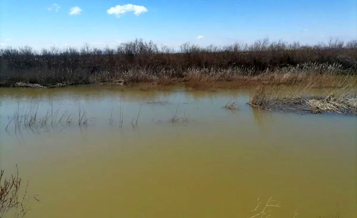 بهبود نسبی تالاب قره‌قشلاق با بارش‌های اخیر