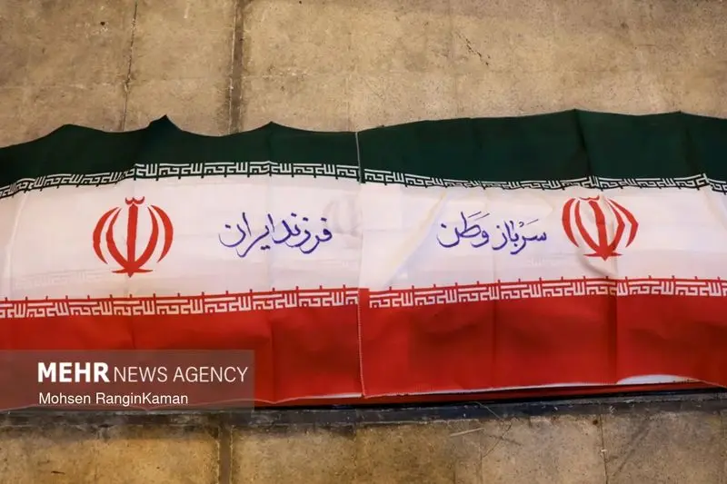 شهدای ناوگروه دنا