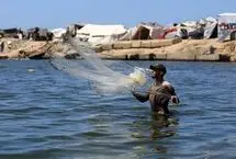 ببینید؛ صید ماهی غول‌پیکر در غزه