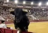 ویدئو؛ لحظه وحشتناک پرش گاو به سمت تماشاگران در اسپانیا