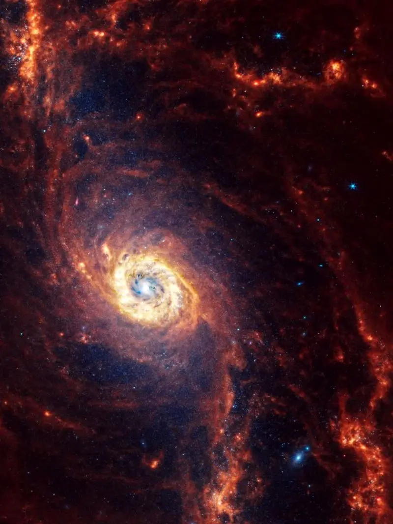 photo_2025-11-15_19-11-43 (2)