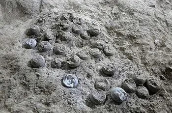 افشای حقایقی درباره آب و هوای زمین با راز ۸۵ میلیون‌ ساله!