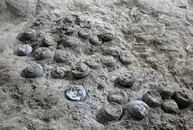 افشای حقایقی درباره آب و هوای زمین با راز ۸۵ میلیون‌ ساله!