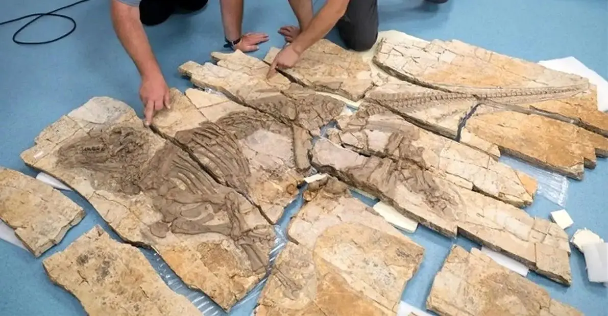 کشف دایناسور 125 میلیون ساله با خارهای شگفت‌انگیز