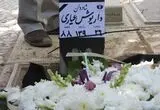 داریوش عیاری در قطعه هنرمندان آرام گرفت