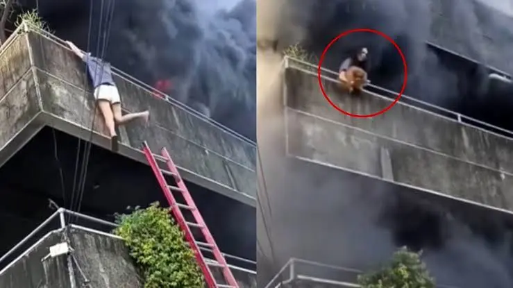 زن قبل از نجات خود، سگ‌هایش را از میان شعله‌های آتش رهانید