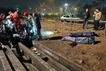 برخورد مرگبار کامیون با پراید در مشیریه/ ۲ نفر جان باختند
