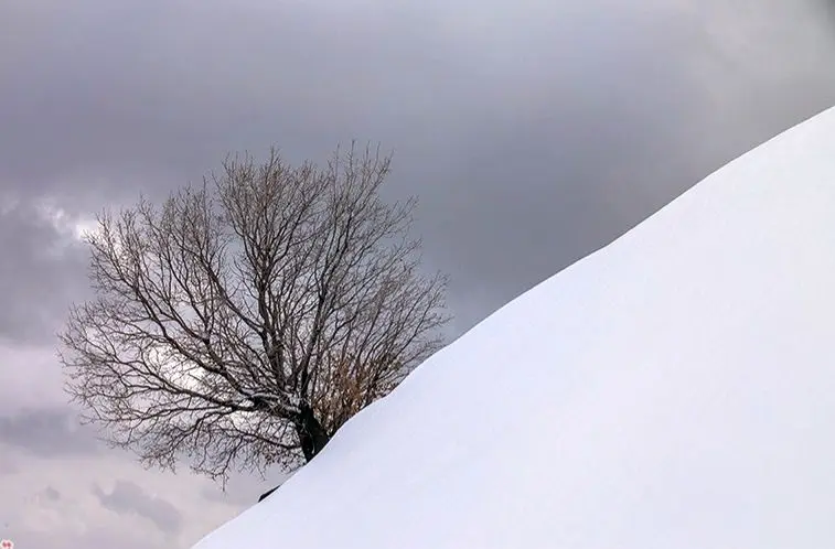 تصاویر؛ بارش زیبای برف در خرم آباد