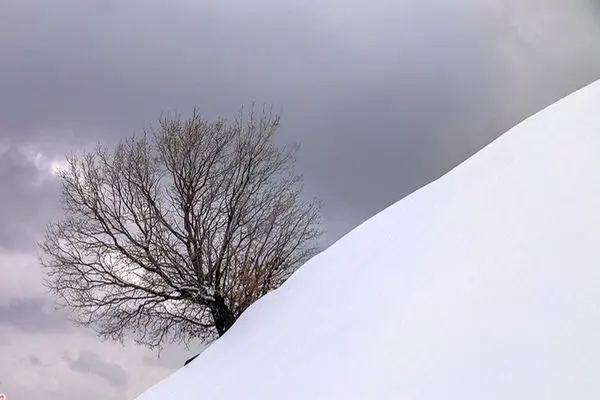 تصاویر؛ بارش زیبای برف در خرم آباد