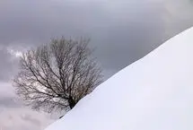 تصاویر؛ بارش زیبای برف در خرم آباد