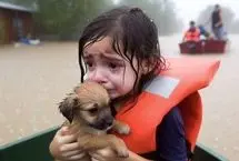 هوش مصنوعی در حال بلعیدن اینترنت است!