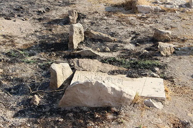 63642456