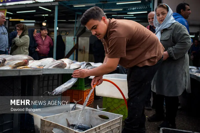 نوروز ۱۴۰۵ ۵