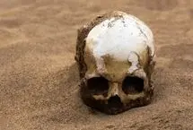 کشف جمجمه یک میلیون ساله با ویژگی‌های انسان مدرن در چین