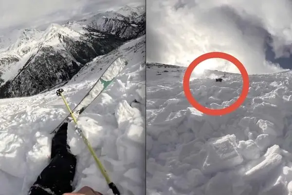 لحظه گرفتار شدن اسکی‌باز با سگش در بهمن 