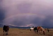 رقص اسب‌های وحشی زیر رنگین‌کمان