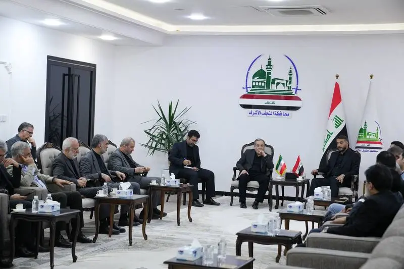 عباس عراقچی در نجف
