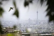 افزایش ۴ درجه‌ای دما در تهران تا پایان هفته