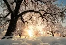 روند گرم شدن کشور جدی است