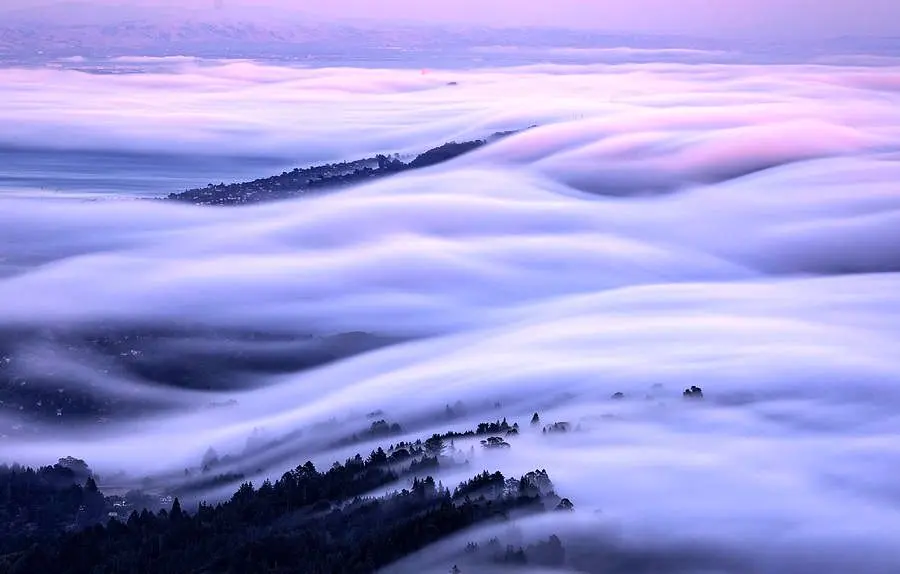 صحنه‌ای دیدنی از لحظه ورود مه غلیظ به سان‌فرانسیسکو 