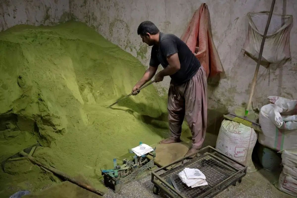 تصاویر؛ آیین کهن «حنا سابی» در یزد