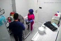 گربه خیابانی کلینیک دامپزشکی را به هم ریخت