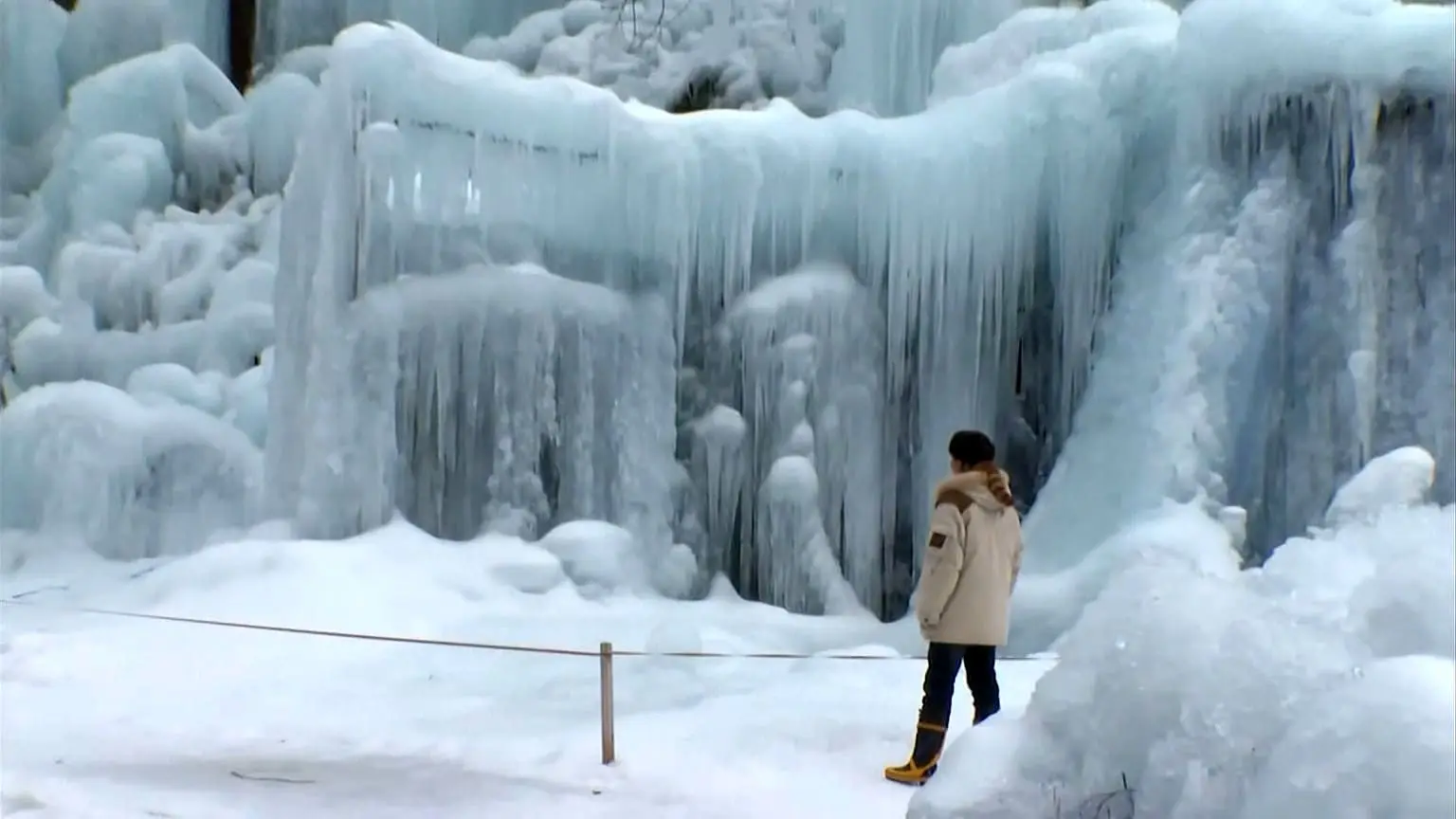 خلق جنگل یخی در یک اقامتگاه کوهستانی