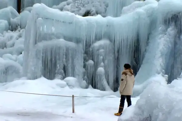 خلق جنگل یخی در یک اقامتگاه کوهستانی