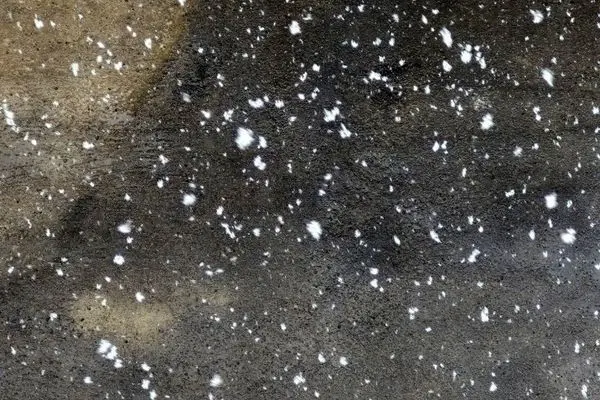 تصاویر؛ بارش برف در ابهر