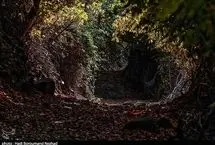 تصاویر؛ طبیعت پاییزی قره داغ  