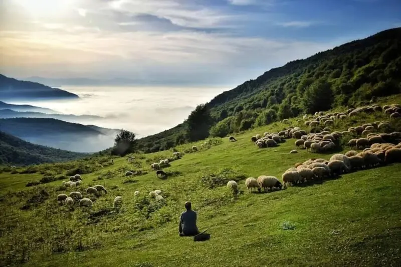 دیلمان