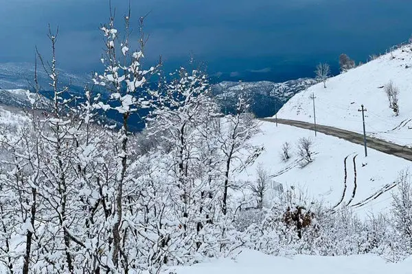 کردستان عراق پرآب شد