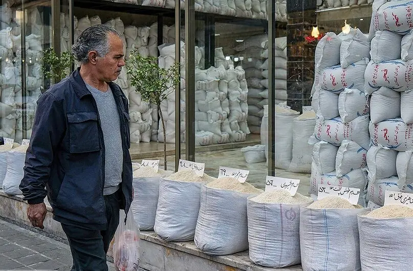 قیمت جدید برنج/ هر کیلوگرم برنج ایرانی چند شد؟