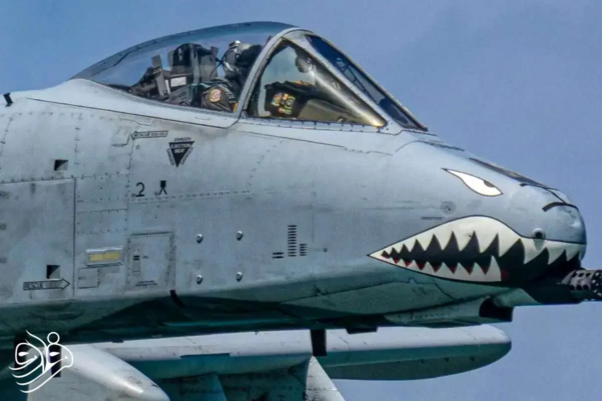 گراز زگیل‌دار: جنگنده زشت و هولناک آمریکایی