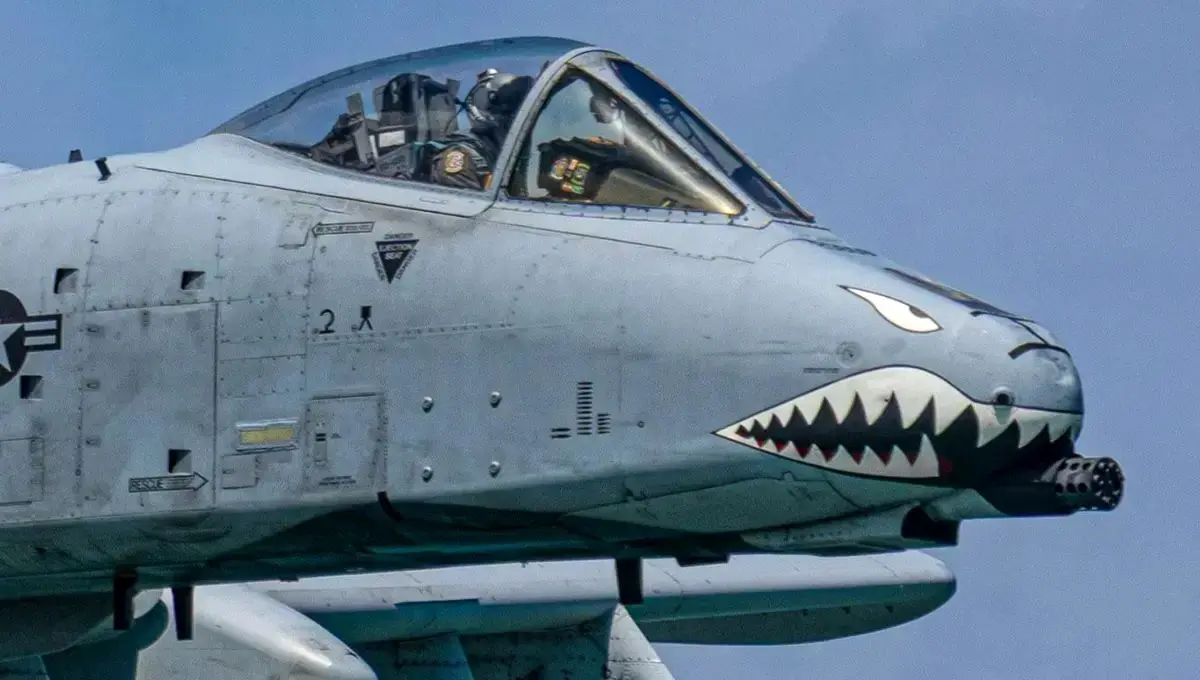 گراز زگیل‌دار: جنگنده زشت و هولناک آمریکایی