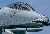 گراز زگیل‌دار: جنگنده زشت و هولناک آمریکایی