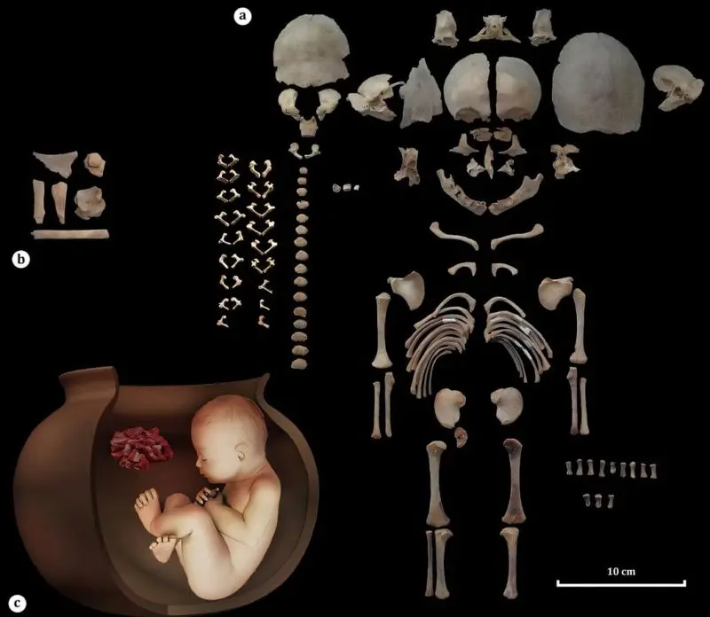 جنین ۶۵۰۰ ساله