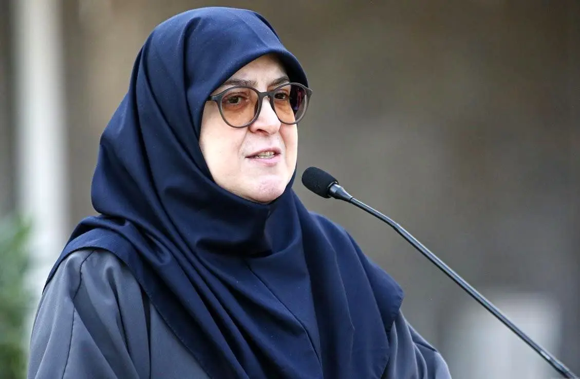 مهاجرانی: دولت می‌کوشد با تمام توان جنگ را از ایران دور کند

