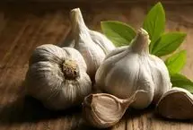 خوردن سیر خام ناشتا باعث لاغری می‌شود؟