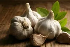 خوردن سیر خام ناشتا باعث لاغری می‌شود؟