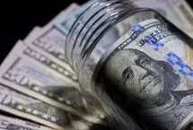 نصف دلار پتروشیمی‌ها باز نمی‌گردد