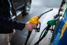 تنوع در سبد سوخت؛ راهکار اصلی کاهش مصرف انرژی