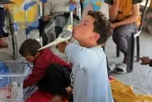 ببینید؛ حیوانات در خدمت آرامش کودکان غزه
