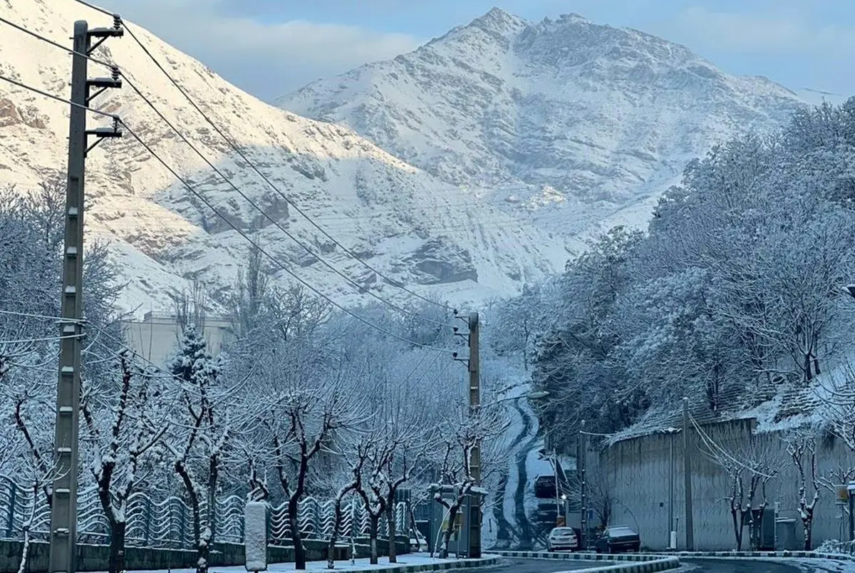 رخت سپید بر تنِ تهران