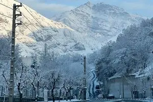 رخت سپید بر تنِ تهران