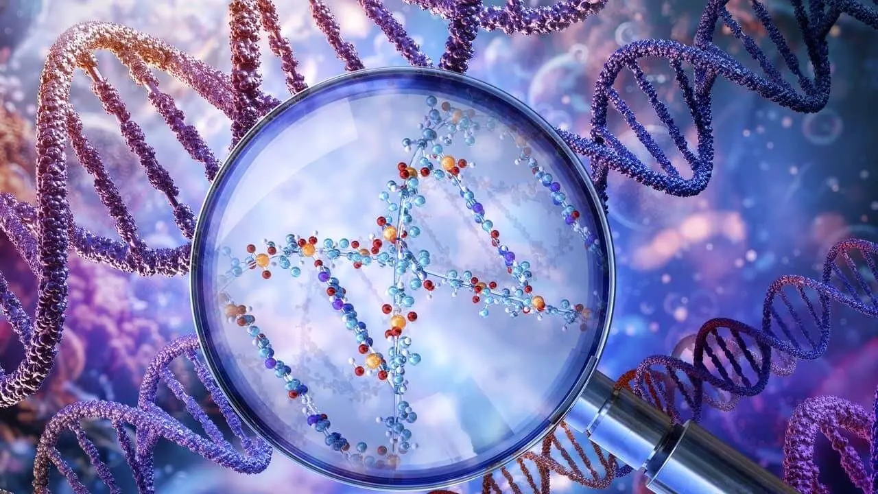 راز انسان‌های ۱۰۰ ساله: میراث ژنتیکی عصر یخبندان