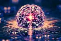 آینده در راه است؛ کامپیوترهای ساخته‌شده از مغز انسان!