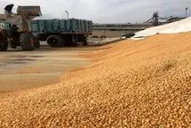 جو ۲۵ هزار تومانی؛ زنگ خطر بازار گوشت و لبنیات به صدا درآمد